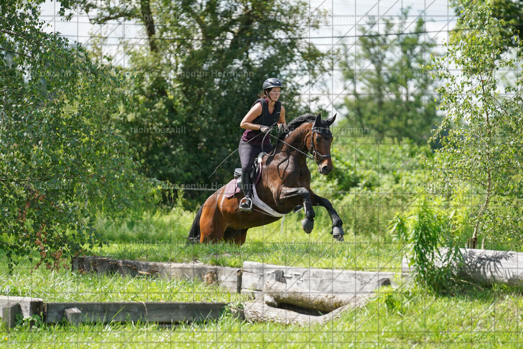 20240622-FAH07763 | Turnierfotografen Bayern, Reitsportbilder aus dem Geländekurs mit Felix Etzel auf dem Gut Waitzacker 2024