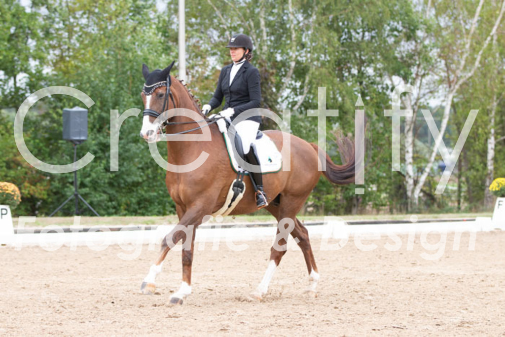 IMG_7211 | Creatify Fotografie