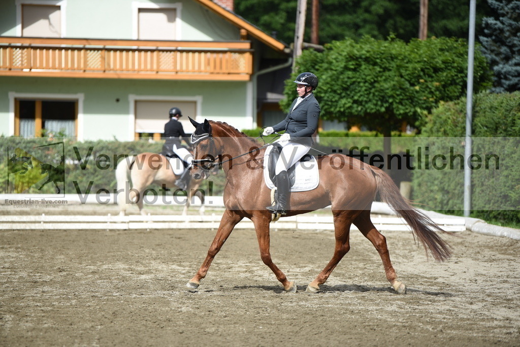 DSC_4951 | equestrian-live-com