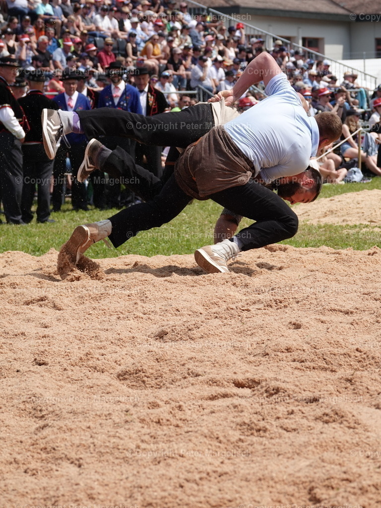 DSC06798 | Schwingen - Realisiert mit Pictrs.com