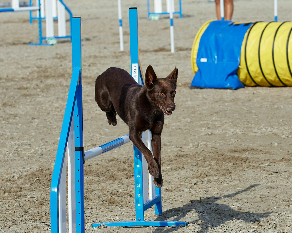 580B0064 | Peter Fridle Fotografie - Realisiert mit Pictrs.com