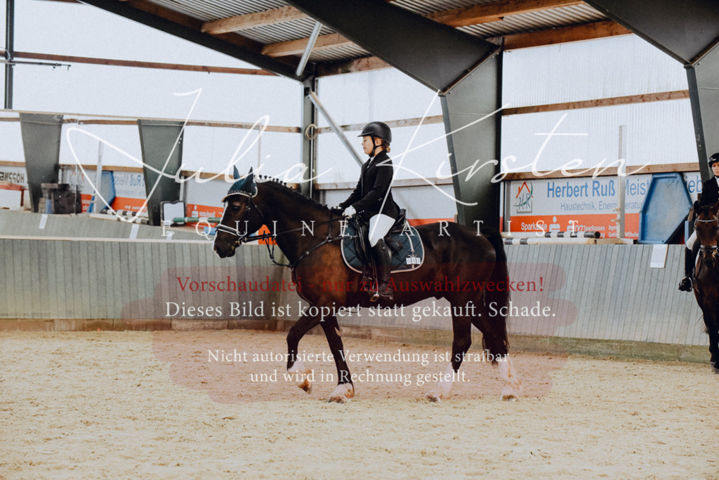 DSC_7327 | Pferde- und Turnierfotografie in Westsachsen. Pferdeportraits, Auftragszeichnungen und intuitive Kunst.