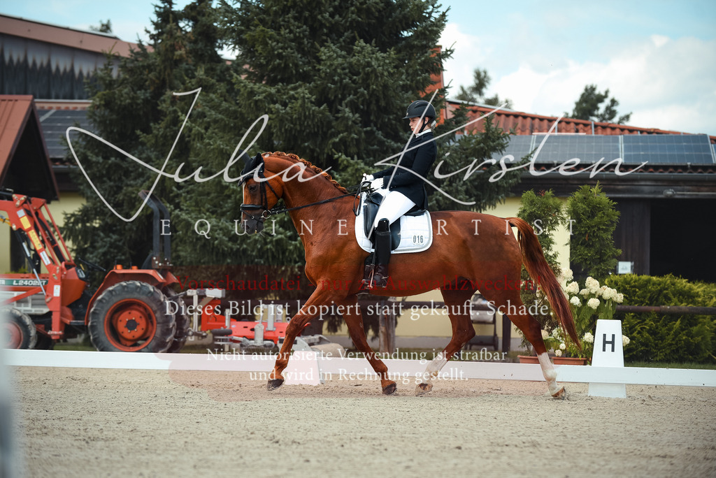 DSC_9094 | Pferde- und Turnierfotografie in Westsachsen. Pferdeportraits, Auftragszeichnungen und intuitive Kunst.