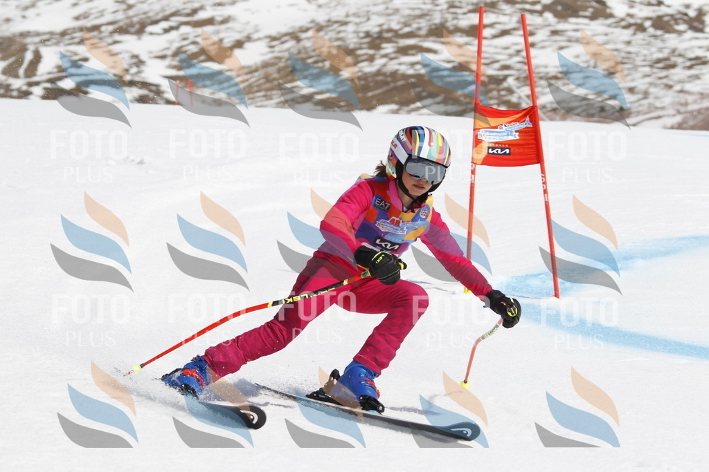 _U3G1350 | holidayphoto