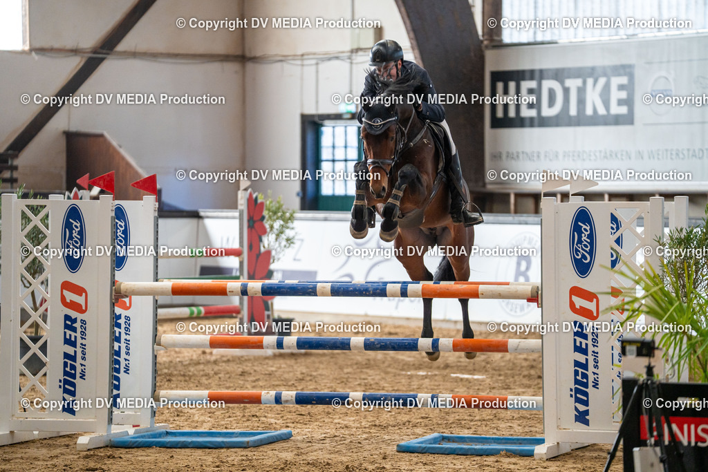 Kranichstein Tag 2-421 | dv-media-shop - Realisiert mit Pictrs.com