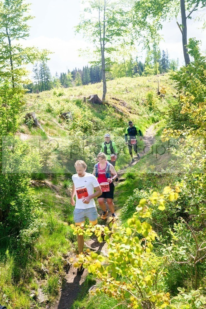Rennsteiglauf Marathon 2025 | Marathon von Neuhaus/Rwg. nach Schmiedefeld/Rstg. am 17. Mai 2025