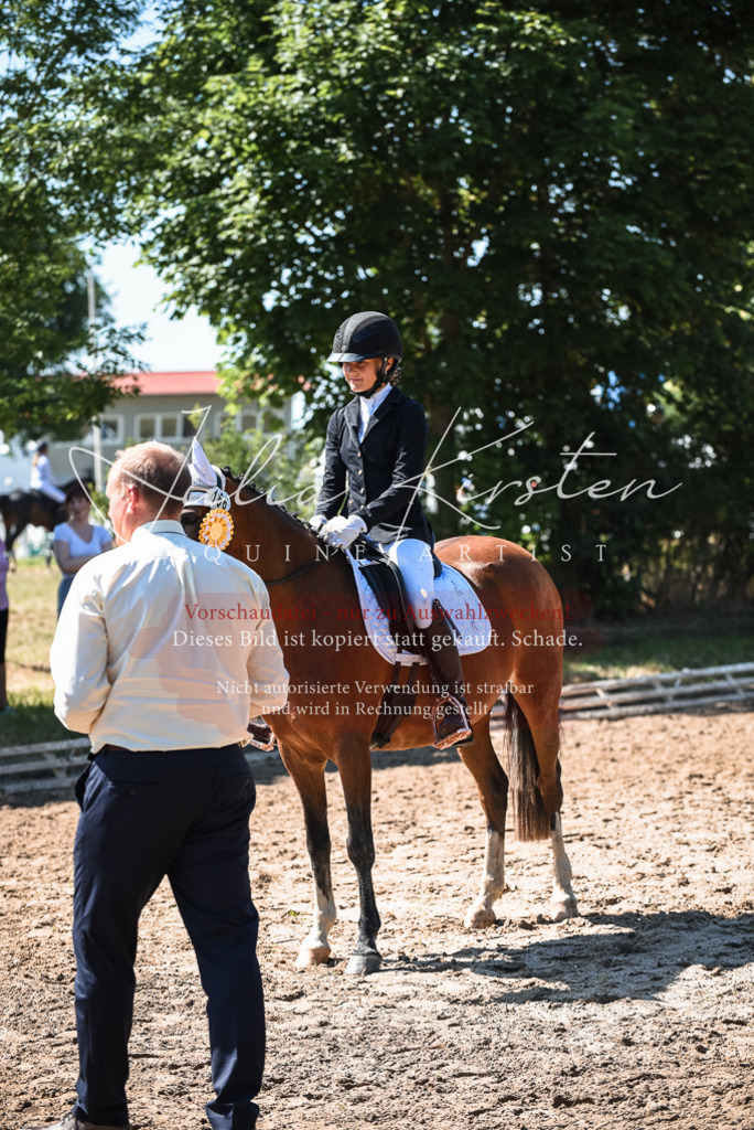 DSC_3644 | Pferde- und Turnierfotografie in Westsachsen. Pferdeportraits, Auftragszeichnungen und intuitive Kunst.