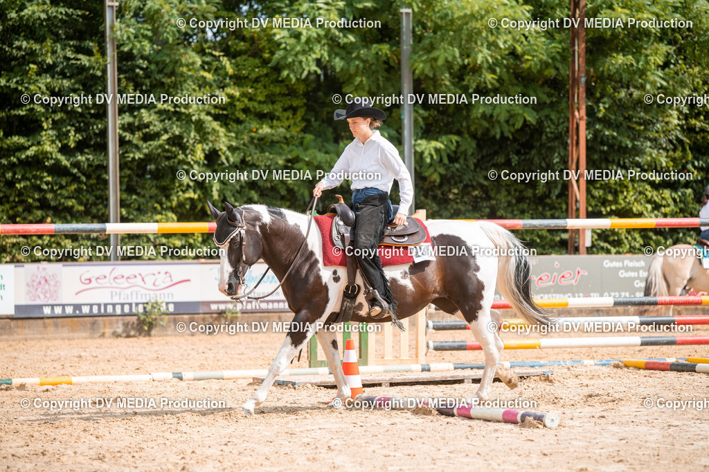 ZS2_7706 | dv-media-shop - Realisiert mit Pictrs.com