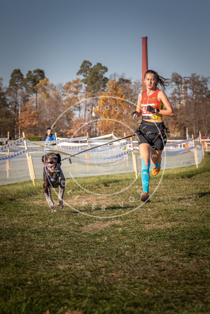 CaniXpix_0L8A8467 | Hundefotografie, Tierfotograf, Pfotenfotografie, Fotoshooting Hund, Hunde Portrait, Hundesport, Hundeportraits, Heideshooting, Hunde, Sportfotograf, Hundefotograf, Turnierhundsport, THS,  - Realisiert mit Pictrs.com