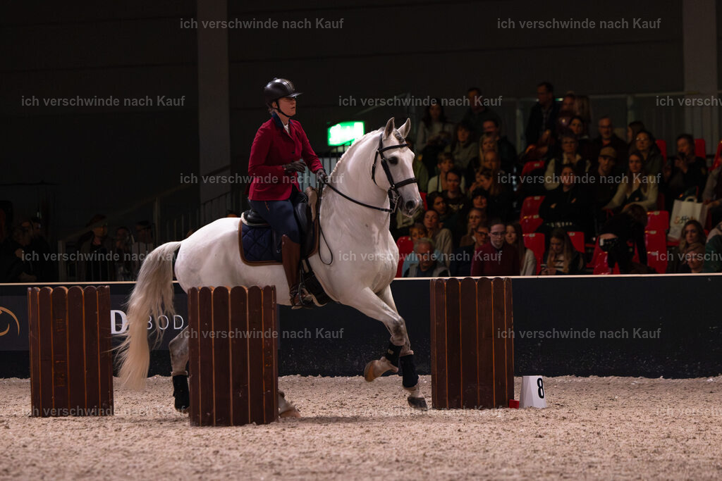 JoseraCup-106 | working equitationturnier fotograf videograf stoibphotography marixx film working equitation deutschland reitsport turnierfotografie eventfotografie equestrian events