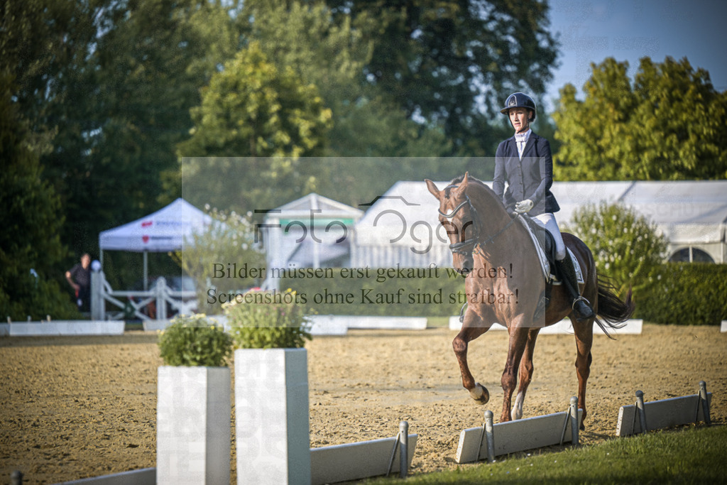 DOS_1346 | Entdecke hochwertige Reitturnierfotos von Foto Oger. Professionell, emotional und authentisch – jetzt Lieblingsmomente im Shop bestellen.Deutschlandweite Turnierfotografie. - Realisiert mit Pictrs.com