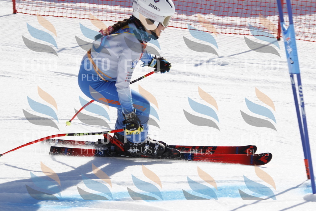 _U3G8501 | holidayphoto