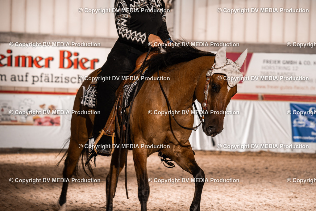 ZH300034 | dv-media-shop - Realisiert mit Pictrs.com