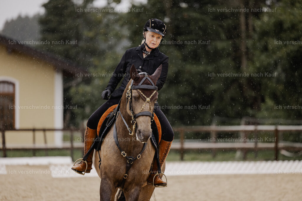 Katja7_FHC2025-24702 | working equitationturnier fotograf videograf stoibphotography marixx film working equitation deutschland reitsport turnierfotografie eventfotografie equestrian events