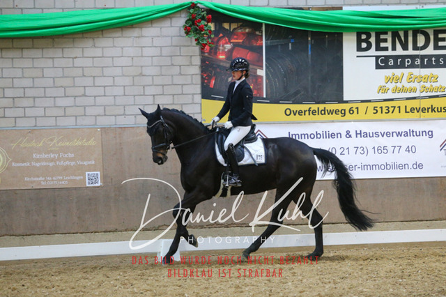 IMG_2920 | Turnierfotos kaufen im Webshop von Daniel Kuhl Photography – entdecke professionelle Reitsportfotos aus Turnieren & Events. Hochwertige Turnierbilder online bestellen & sichern. Jetzt Fotos von Reitsportturnieren kaufen!