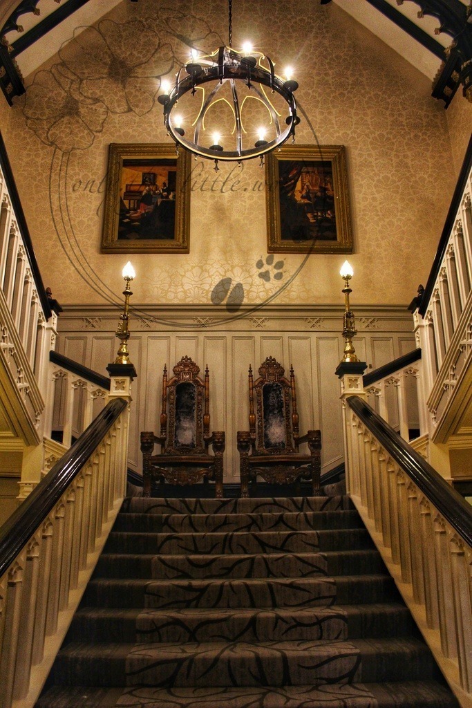 IMG_3228-01 | only.this.little.world - Realisiert mit Pictrs.com