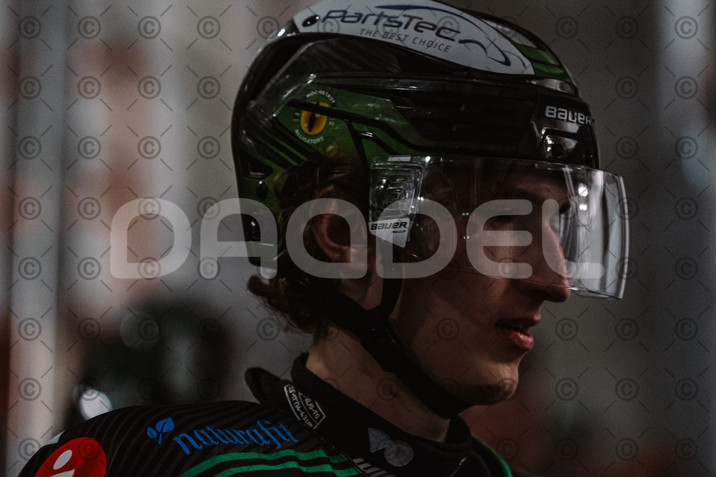 Alligators_vs_Erding_01_02_2026-55 | Höchstadt Alligators Fotogalerie: Eishockey-Action aus Franken. Professionelle Spielfotos, Portraits & Stadionbilder zum Download. Jetzt entdecken! - Realisiert mit Pictrs.com