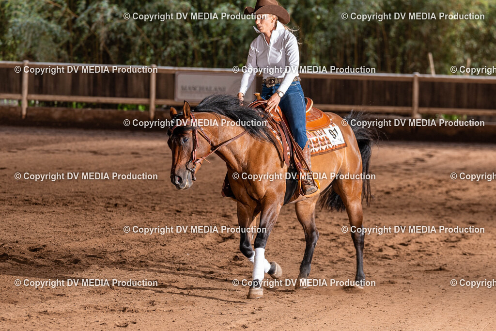 Erbach Tag 2-732 | dv-media-shop - Realisiert mit Pictrs.com