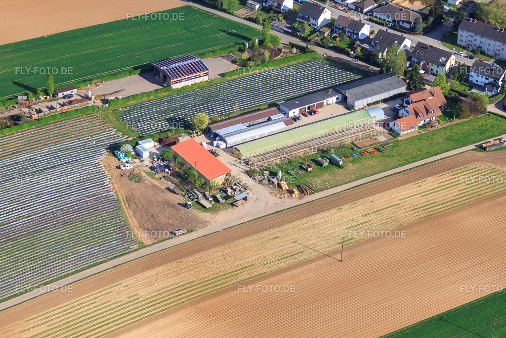 Biohof Kugelmann Am Sonnenweg https://www.biozyklisch-vegan.de/ | Luftbild: Biohof Kugelmann Am Sonnenweg https://www.biozyklisch-vegan.de/ in Kandel im Bundesland Rheinland-Pfalz in Deutschland. Foto: IMG_39391.jpg vom 09.04.2011 durch Werner Riehm/FLY-FOTO.de - Realisiert mit Pictrs.com