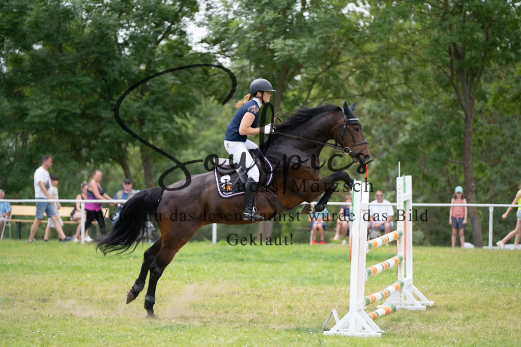 A7V06818 | Pferdefotograf