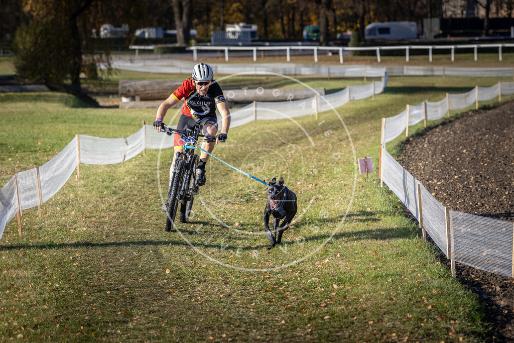 CaniXpix_DV3A3623 | Hundefotografie, Tierfotograf, Pfotenfotografie, Fotoshooting Hund, Hunde Portrait, Hundesport, Hundeportraits, Heideshooting, Hunde, Sportfotograf, Hundefotograf, Turnierhundsport, THS,  - Realisiert mit Pictrs.com