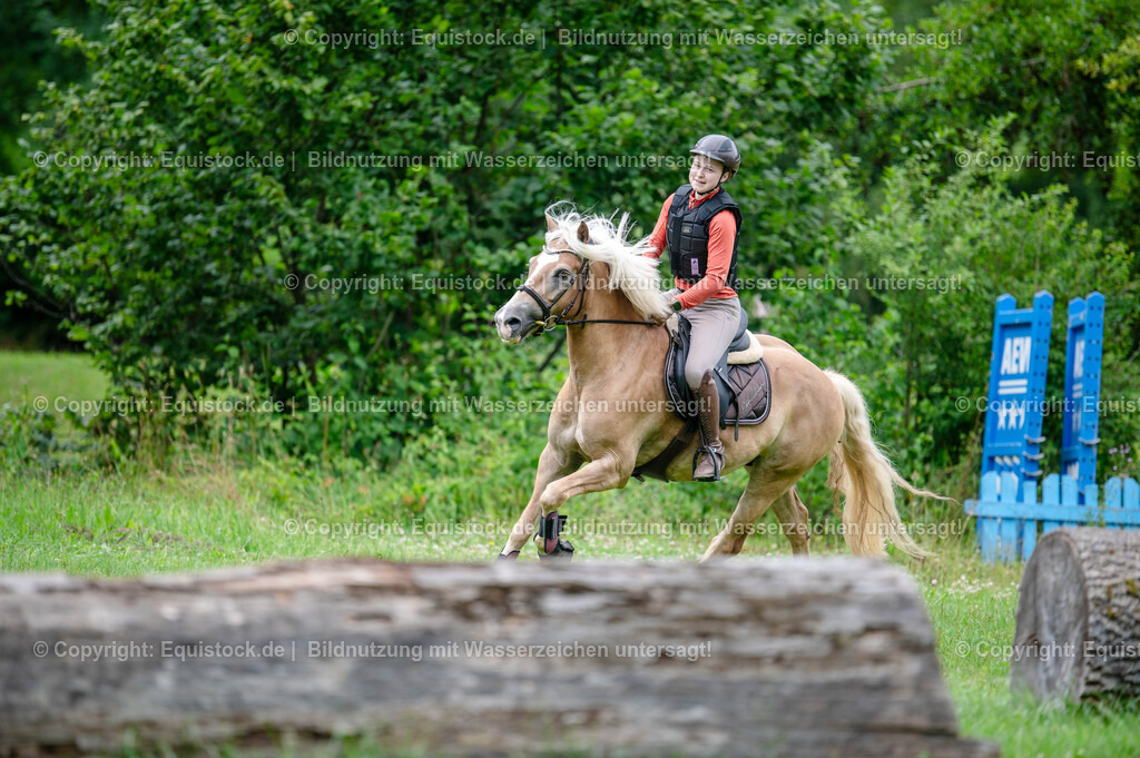 20250725_Vielseitigkeitslehrgang-Marbach_0368 | Foto: Thomas Hartig