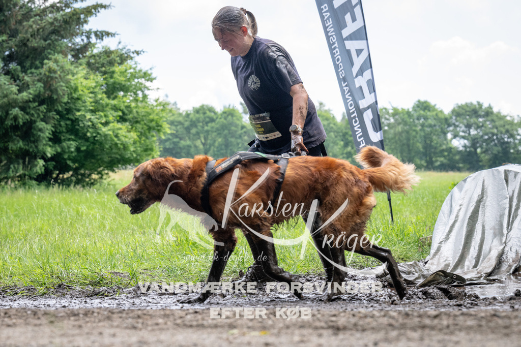 1116_ZZ92364 | kk-dogfotos
