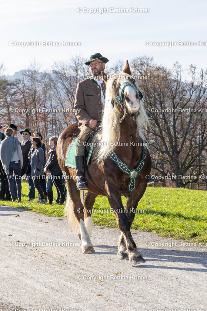 LBT24-1571 | foto-bettina-krinner - Realisiert mit Pictrs.com
