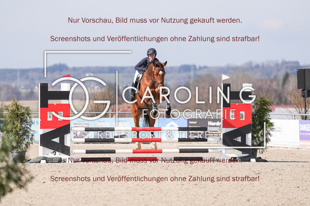 DSC05179 | Late_entry_Springturnier_Bad_Wurzach, Ciaco_Brown_YAH, Paulina_Herzog