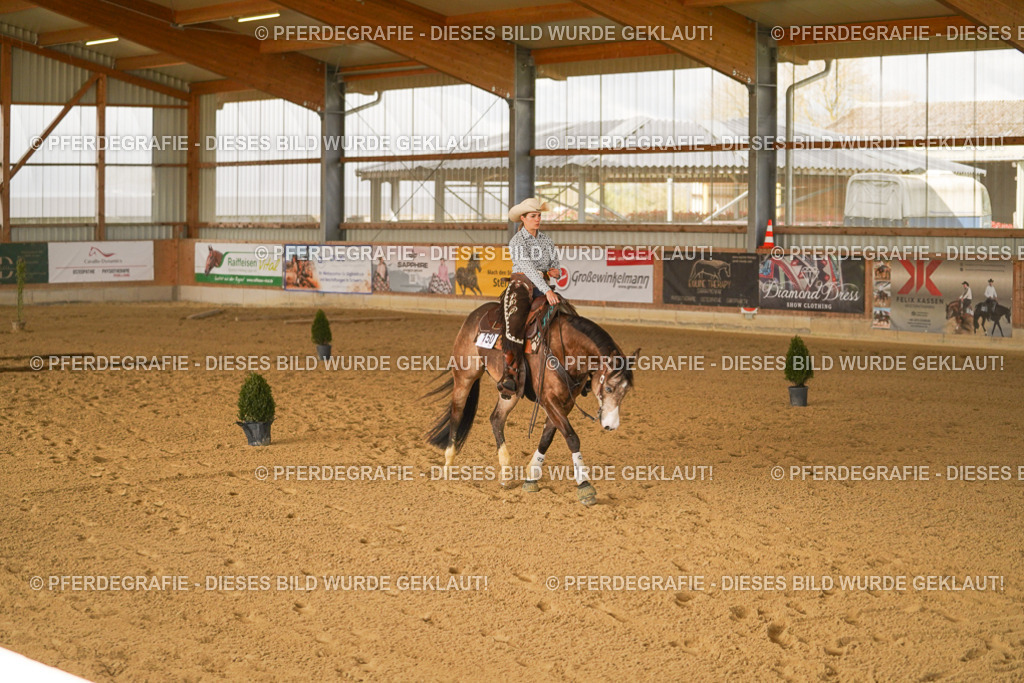 DSC02772 | Pferdegrafie