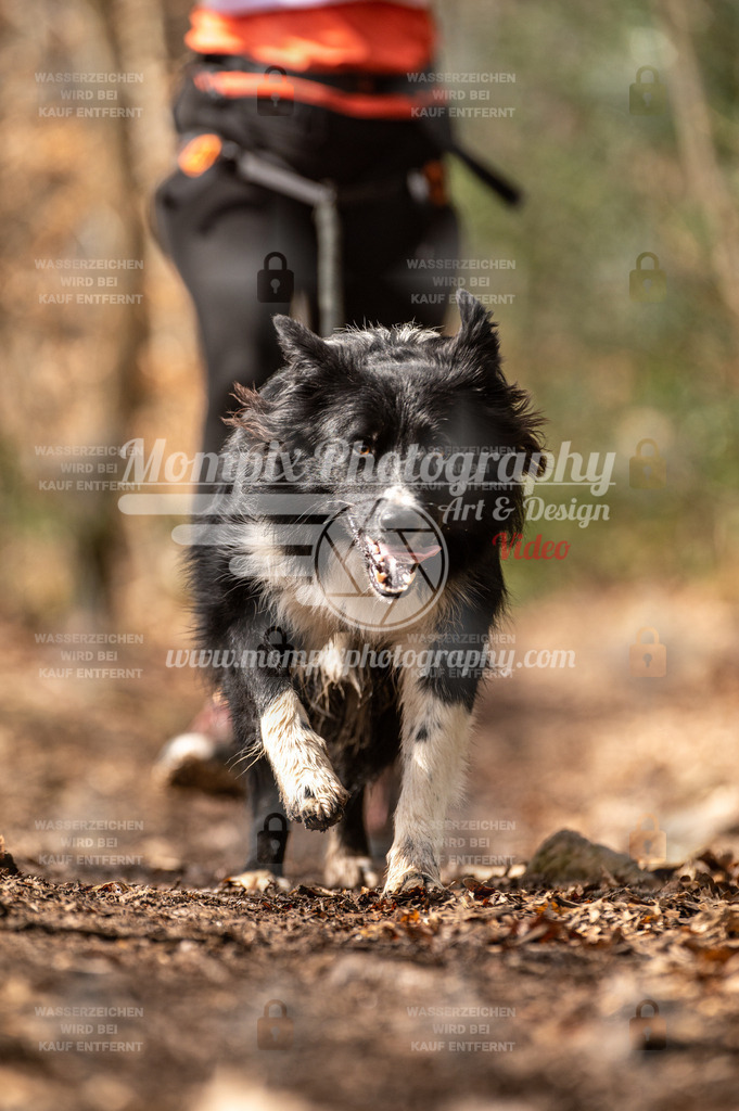 SPA_2023_DIM_Fun-17 | PayLife