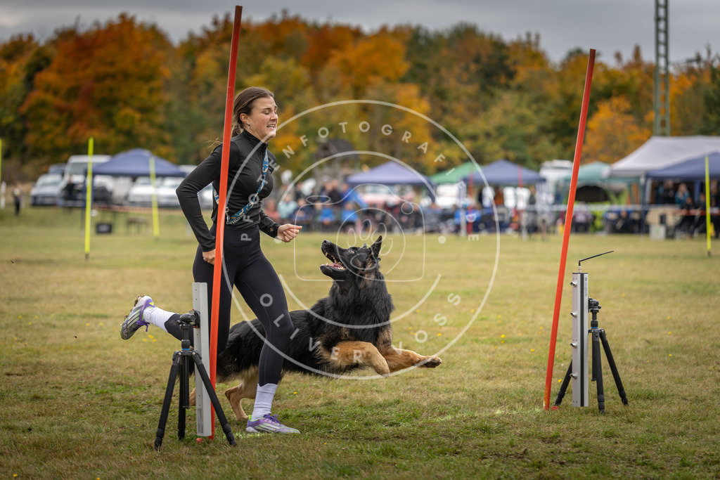 Pfotenfotografie_DV3A7759 | Hundefotografie, Tierfotograf, Pfotenfotografie, Fotoshooting Hund, Hunde Portrait, Hundesport, Hundeportraits, Heideshooting, Hunde, Sportfotograf, Hundefotograf, Turnierhundsport, THS,  - Realisiert mit Pictrs.com
