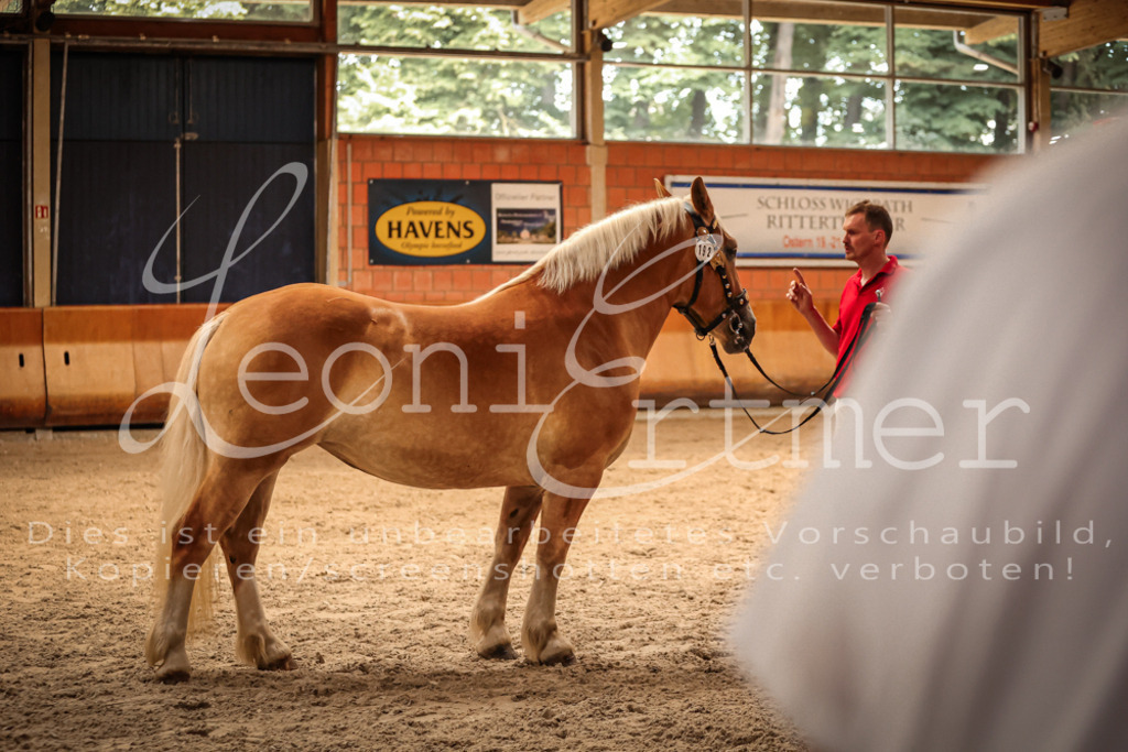 SaFL00266 | Leoni Ertmer Photography - Realisiert mit Pictrs.com