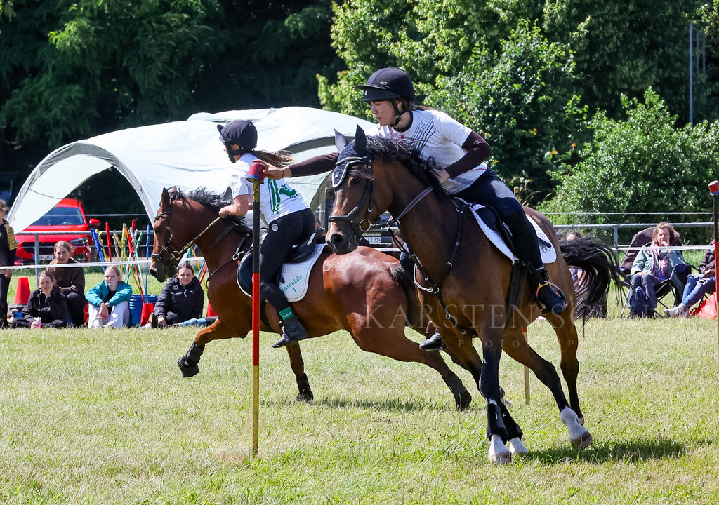 IMG_1622 | Reitsport Reiten