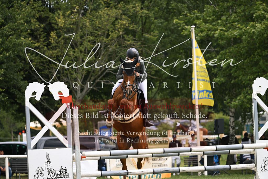 DSC_9121 | Pferde- und Turnierfotografie in Westsachsen. Pferdeportraits, Auftragszeichnungen und intuitive Kunst.