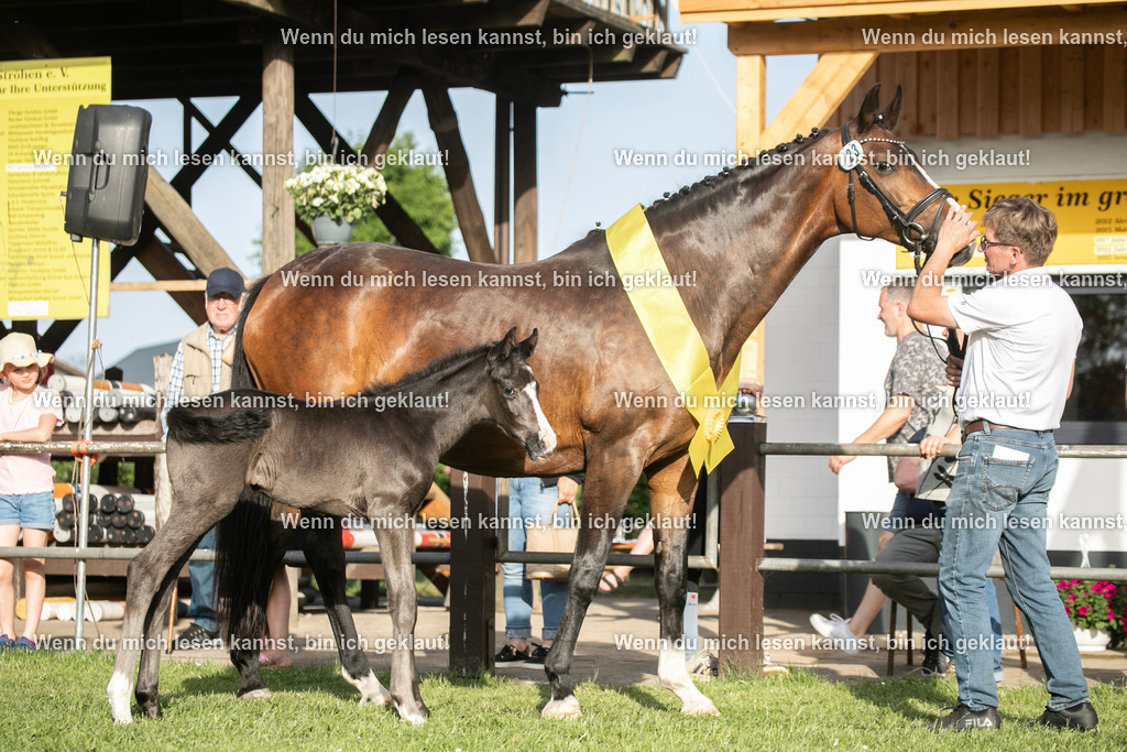598A7523 | photographylinaismer - Realisiert mit Pictrs.com
