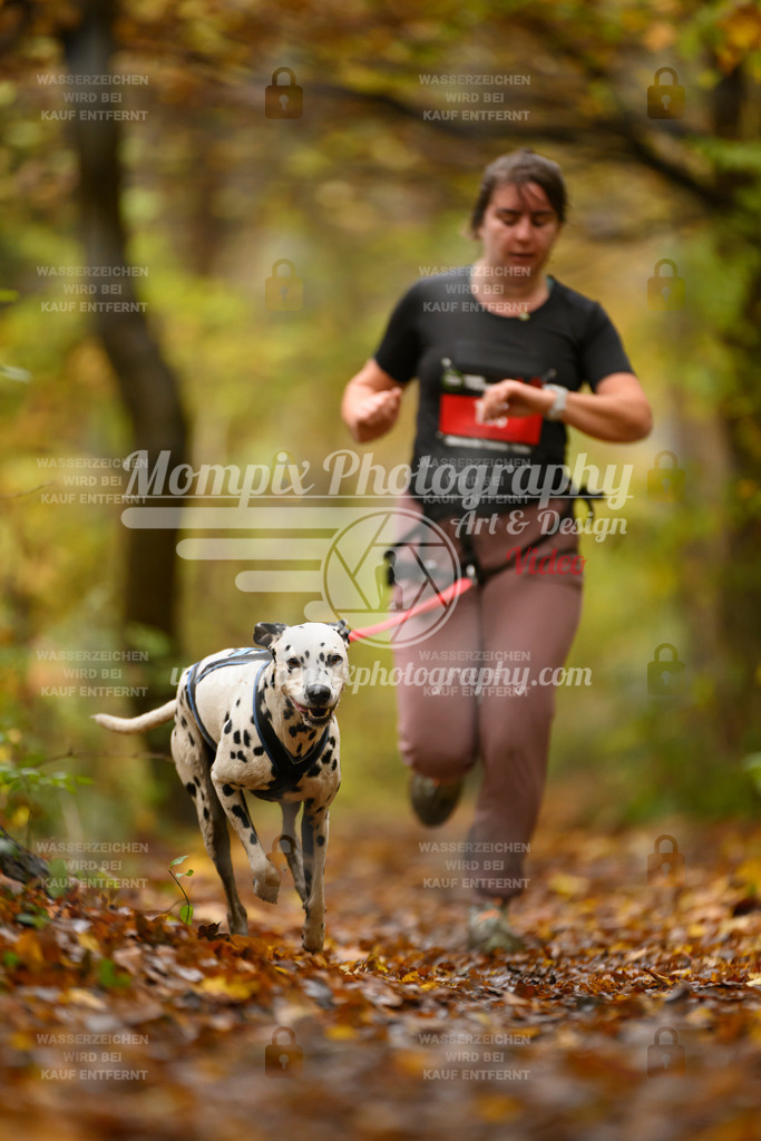 MompixPhotography_CD7S_DI_CCL-87 | mompixphotography