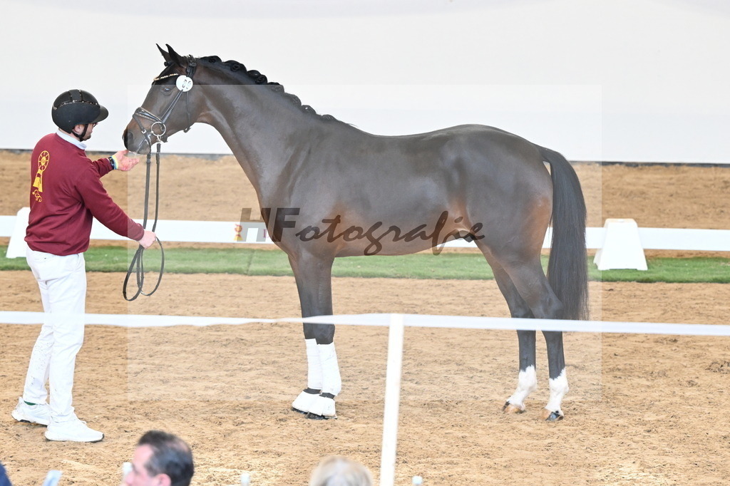 Kat.-Nr. 89 v. Vivaldon_Beckmann_2250840 | hf-fotografie - Realisiert mit Pictrs.com