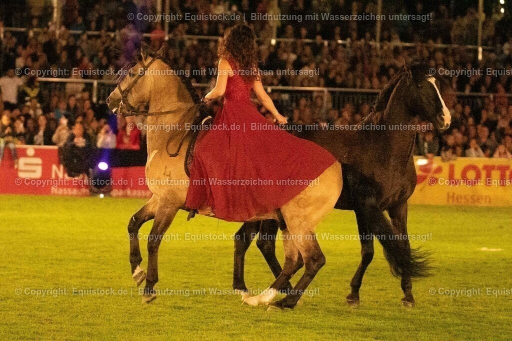 20230526_Pferdenacht_1419 | equistock