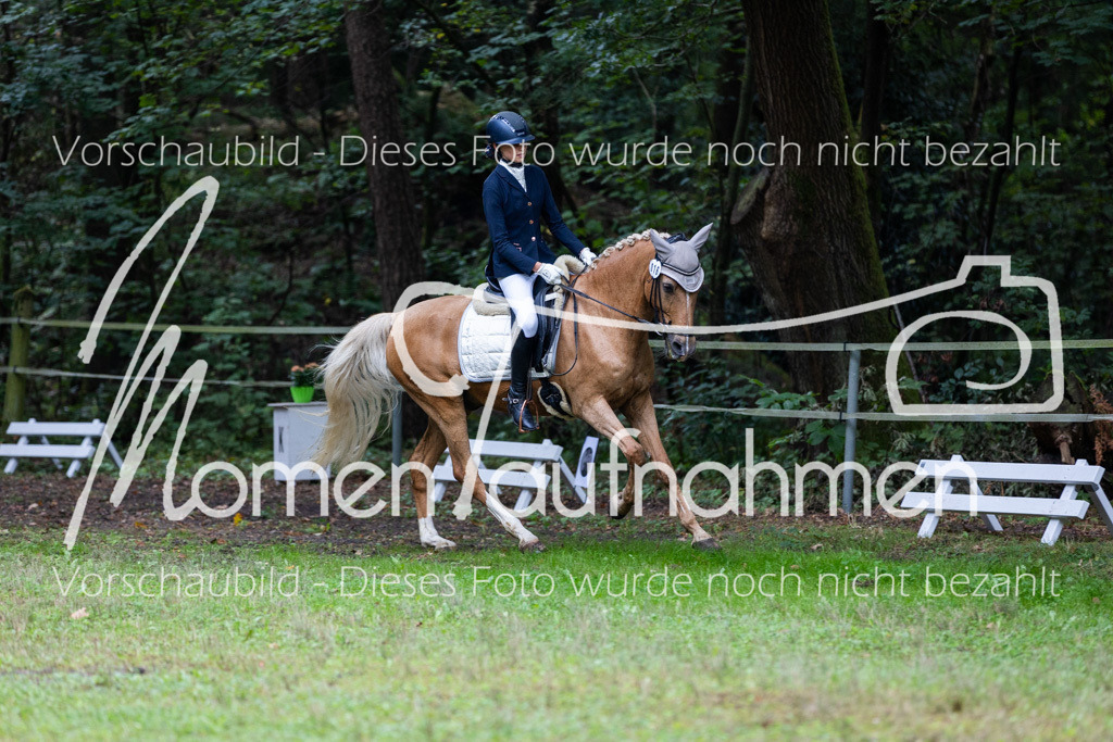 HB-A-Dressur-027 | MomenTaufnahmen Pferdesportfotos