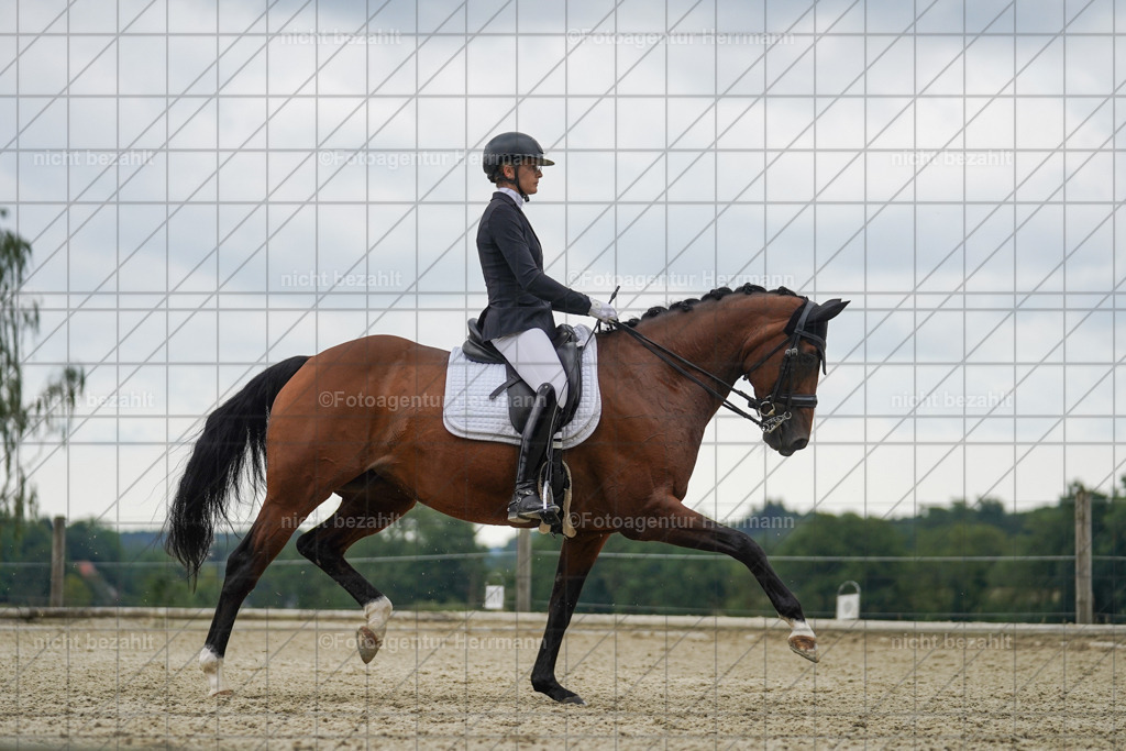 20230826-FAH06214 | Forstinning, 2023, Dressurturnier, Turniersportbilder, Turnierfotografen Bayern, Fotoagentur Herrmann, Reitsportfotografie, Turnierbilder
