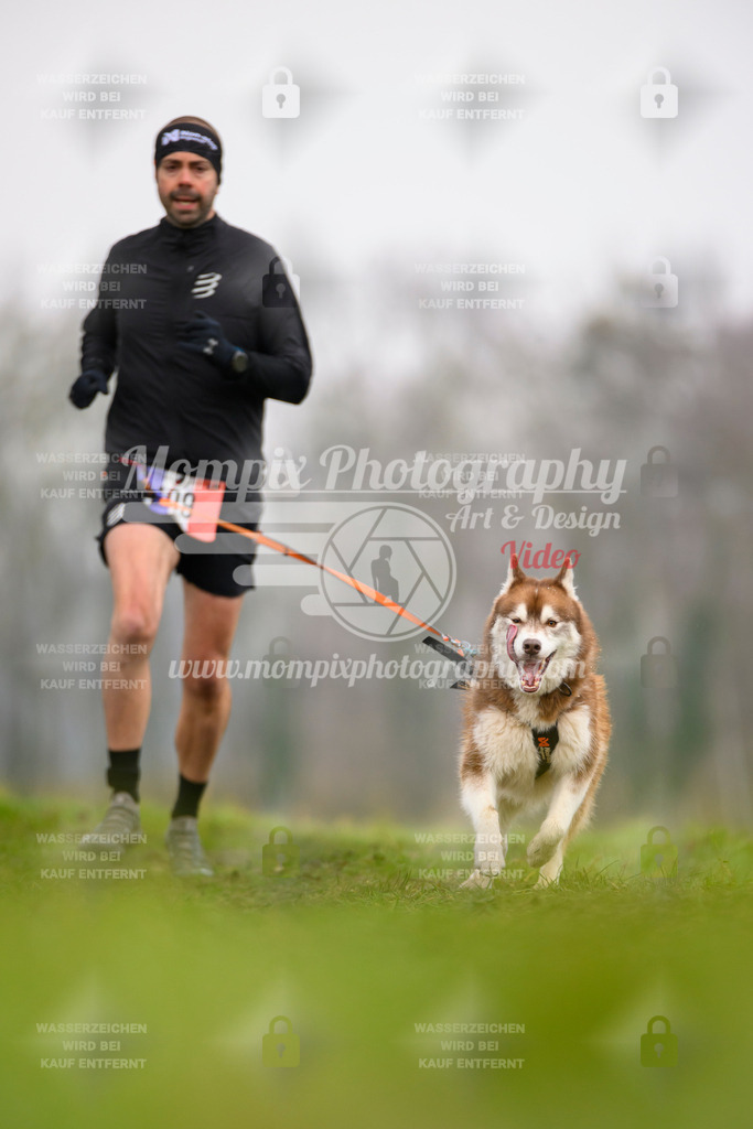 MompixPhotography_CDF2023_FFST_Di_Canicross-110 | PayLife