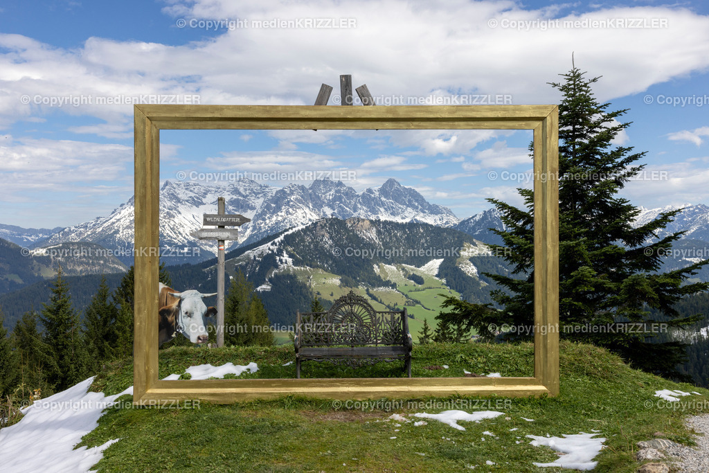 _J3A5632 | medienkrizzler - Realisiert mit Pictrs.com