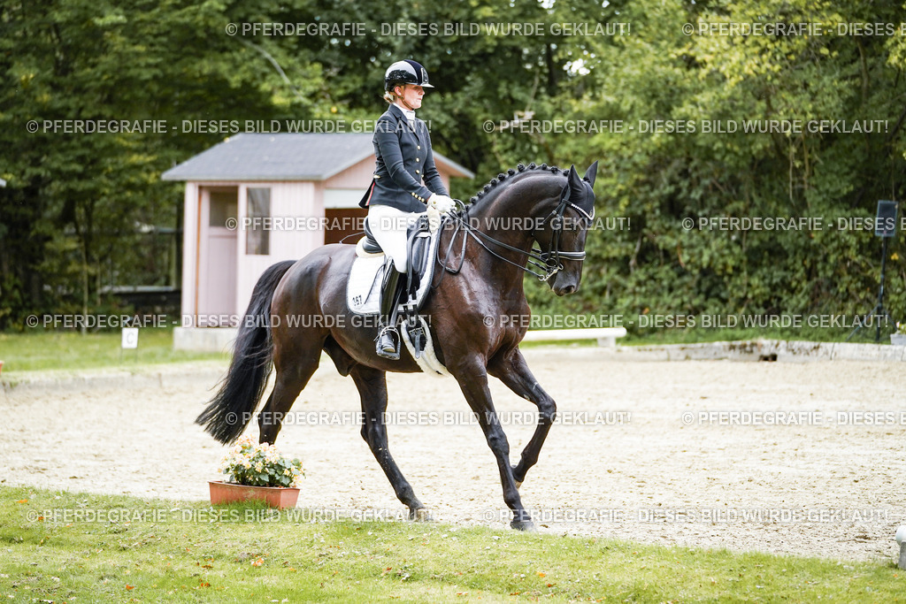 DSC01517 | Pferdegrafie