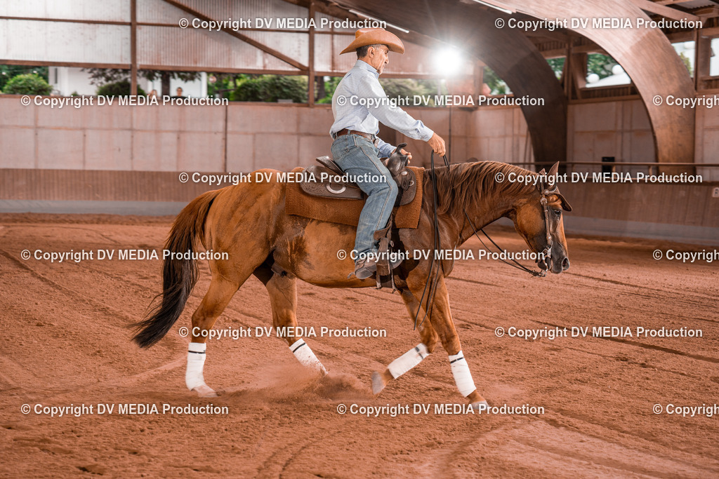 NE300828 | dv-media-shop - Realisiert mit Pictrs.com