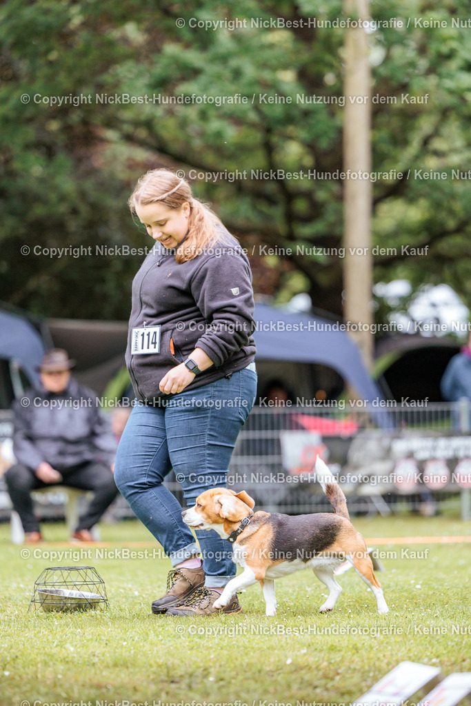 RO-Blumenthal-2026-Nickbest-Hundefotografie-1441 | Dein Hund! Dein Moment! Deine Erinnerungen! Hundefotografie in Bremen Blumenthal. Ich fange die besonderen Momente deines Vierbeiners ein – ob Indoor mit Blitzanlage oder in der freien Natur. Sicher dir dein Moment und dein Termin für eure Erinnerungen.