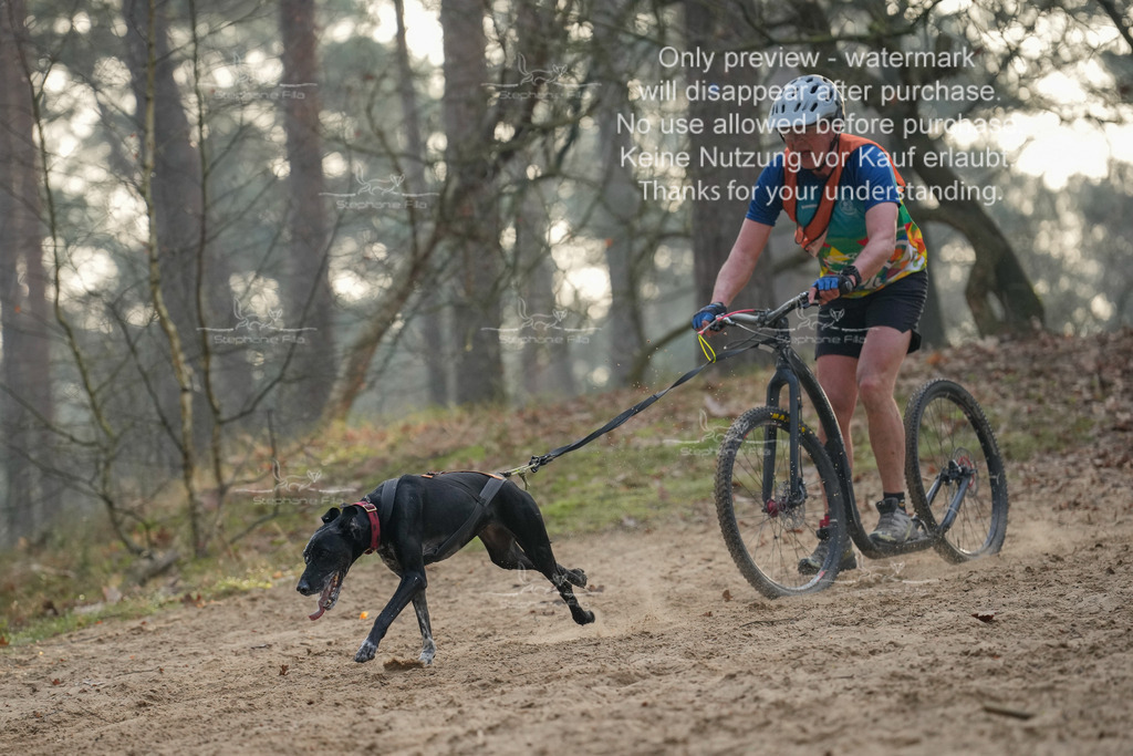 Scooter1-163 | stephaniefillaphotographie - Realisiert mit Pictrs.com