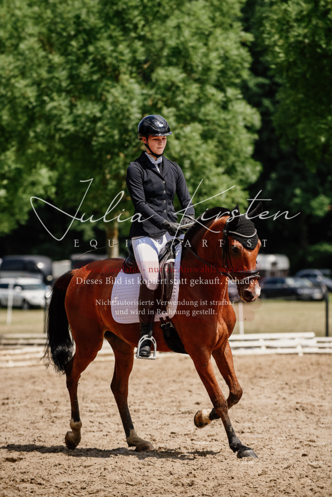 DSC_1750 | Pferde- und Turnierfotografie in Westsachsen. Pferdeportraits, Auftragszeichnungen und intuitive Kunst.