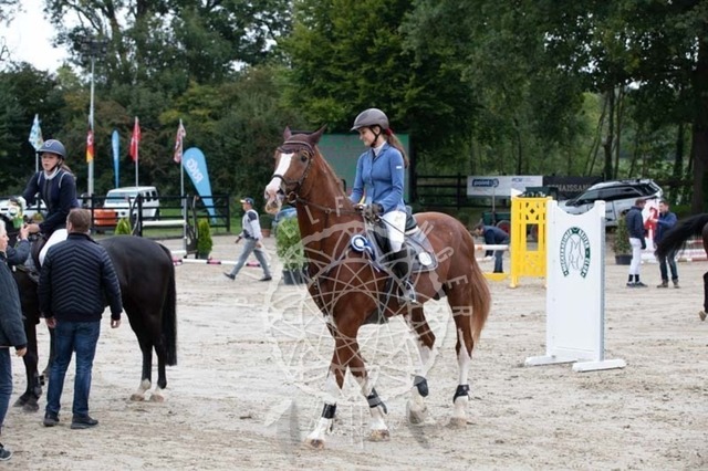 2B4A2365 | pixelfaenger - Realisiert mit Pictrs.com