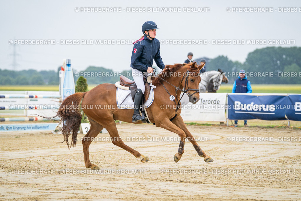 DSC01146 | Pferdegrafie